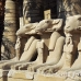 temple_karnak_lux_h_0552_egy3524.jpg
